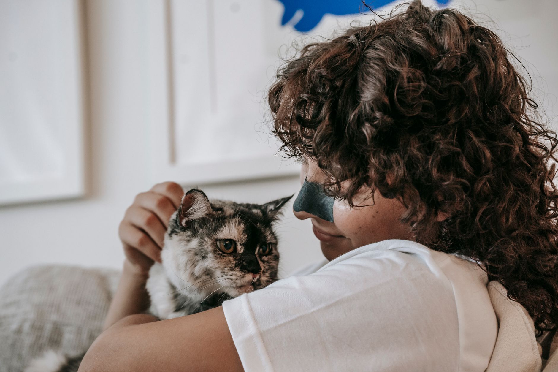 Best Low-Dust Cat Litter for Asthma (2026) – Cleaner Air and Comfortable Cat Care