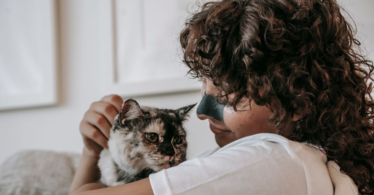 Essential Tips for Caring for Senior Pets