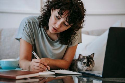 Cat Telemedicine 2026 USA: Chewy, Vetster, whiskerDocs, Dutch & PangoVet Compared