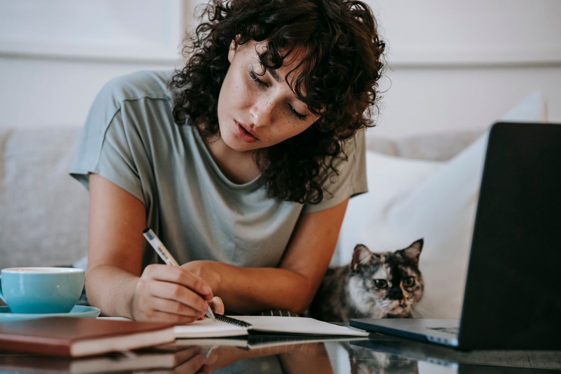 Pennsylvania Pet Insurance Law: HB 660 Rights & Waiting Periods