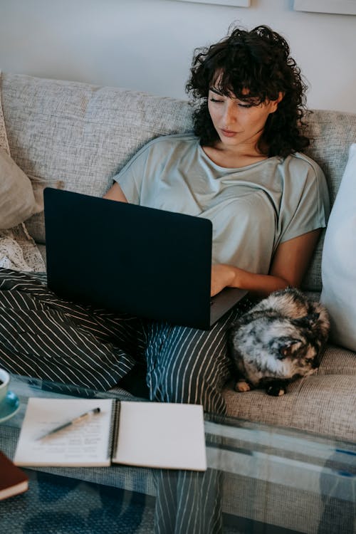 Serious young woman working online on laptop sitting on couch near loyal cat