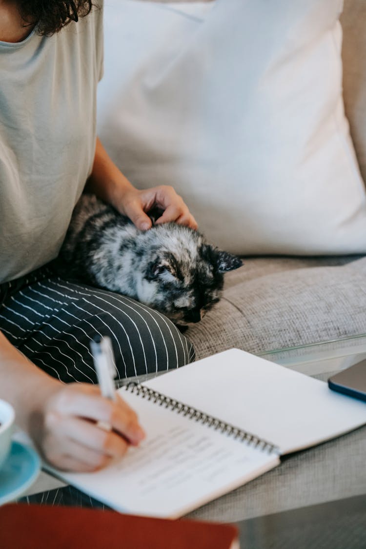 Woman Taking Notes In Planner While Patting Cute Cat