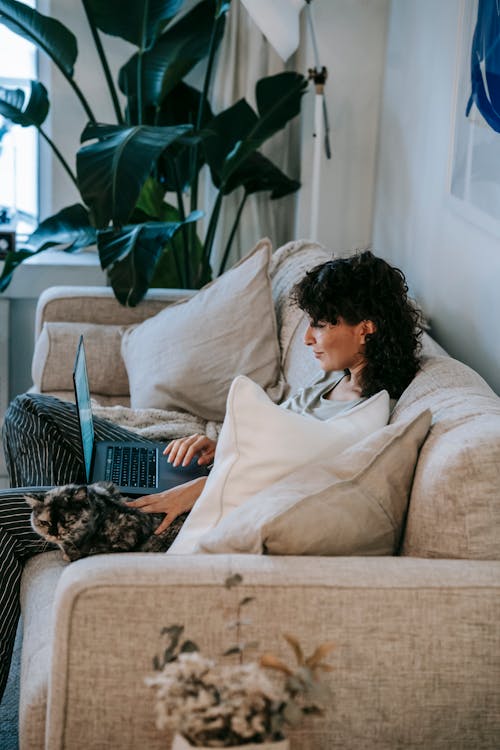 Free Side view of young ethnic female owner with dark curly hair relaxing on sofa with cute cat and watching interesting film on laptop Stock Photo