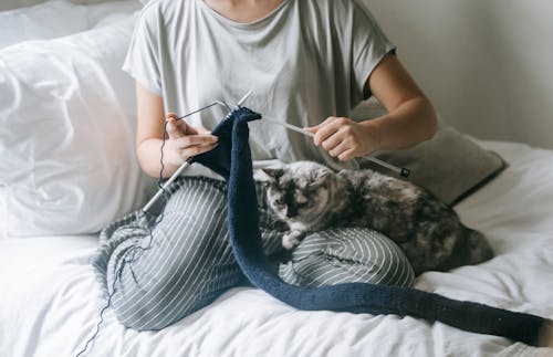Free From above of crop faceless lady relaxing on bed with lazy cat and knitting wool sweater during weekend at home Stock Photo