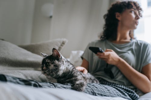 Focused female with cellphone stroking adorable cat while resting on bed and looking away in house