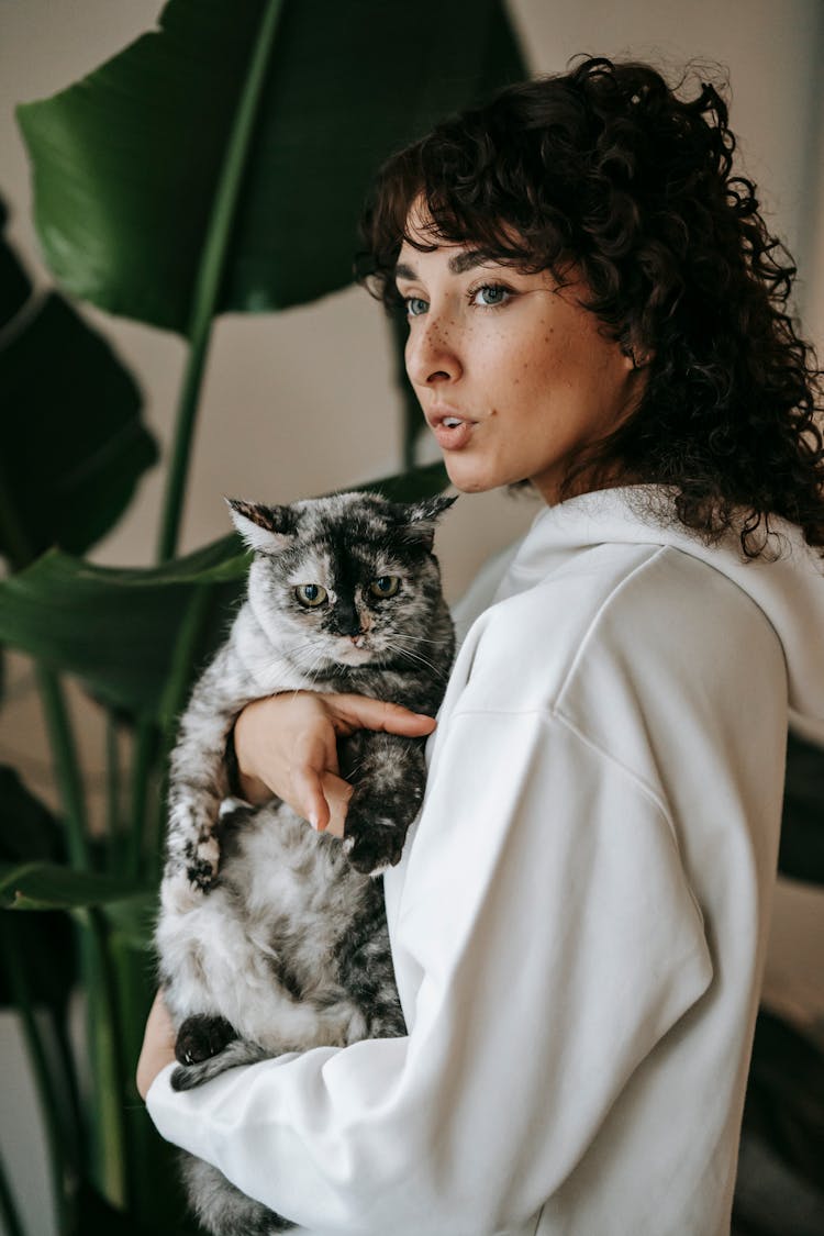 Dreamy Woman Embracing Fat Cat Near Plant At Home