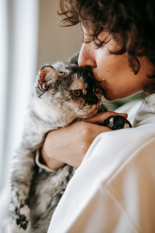 Side view of crop adult mindful female with closed eyes embracing and kissing cat in house