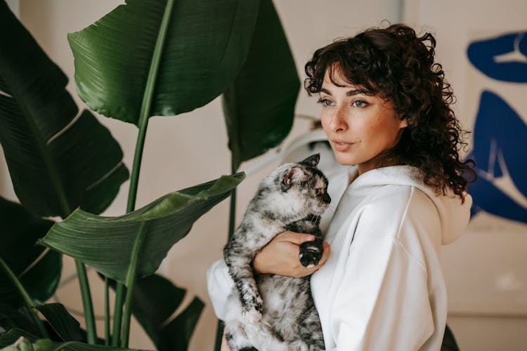 Sincere Woman Embracing Adorable Cat Near Plant In Room