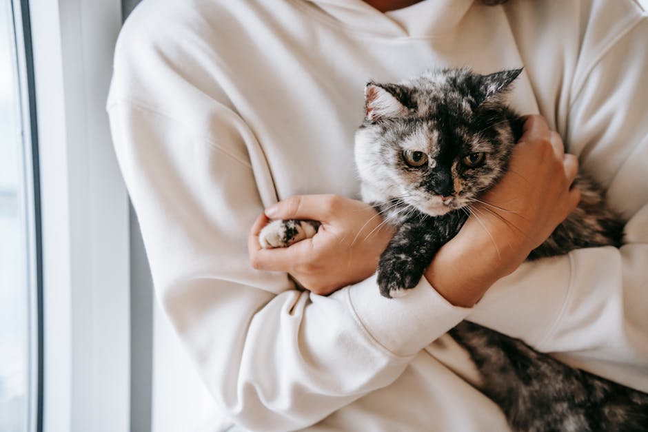 how strong is the bond between cat and owner