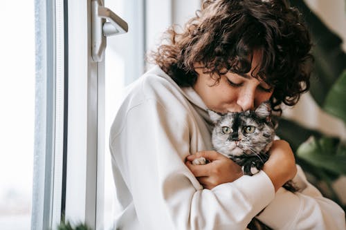 Free Crop woman kissing charming cat near window at home Stock Photo