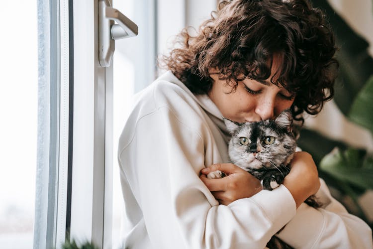 Crop Woman Kissing Charming Cat Near Window At Home