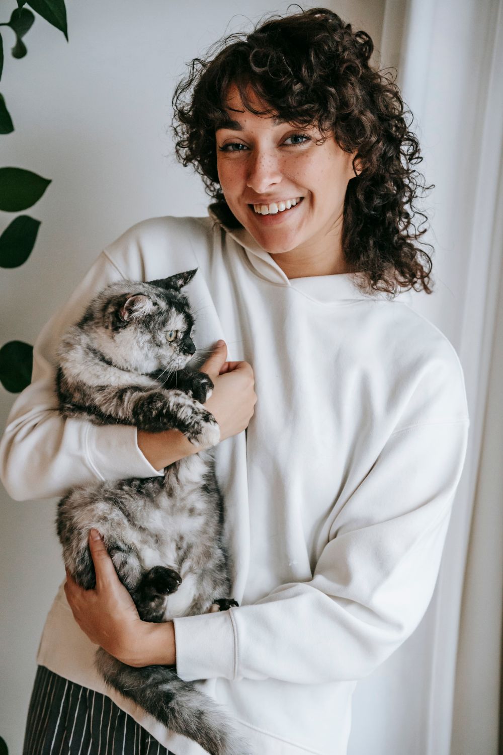 Mann verbringt Zeit mit seiner Katze