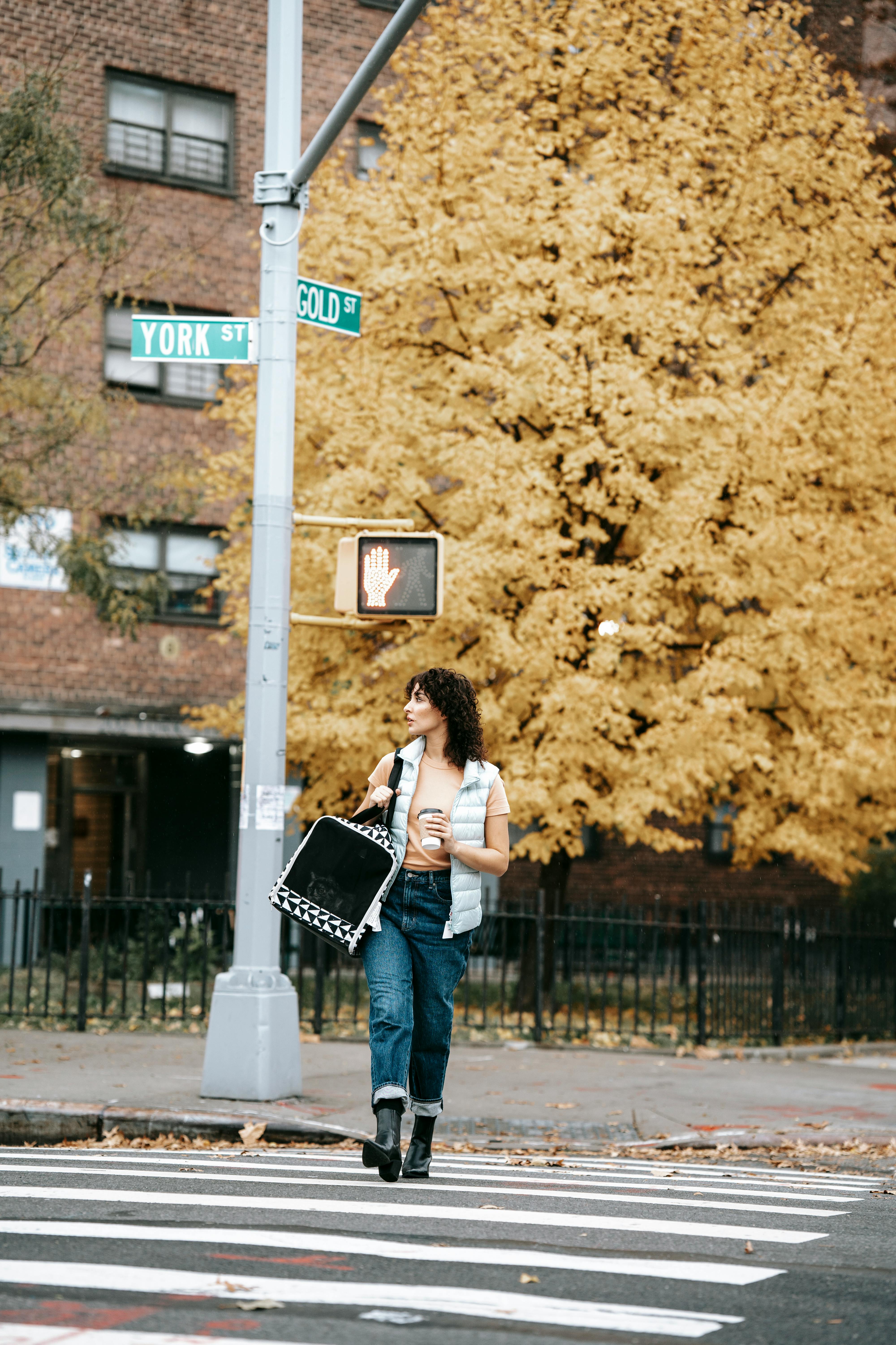 Female in casual clothes with pet carrier and hot drink to go strolling on crosswalk in autumn city while looking away