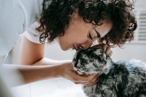 Crop content woman with curly hair caressing and touching with nose fluffy cat