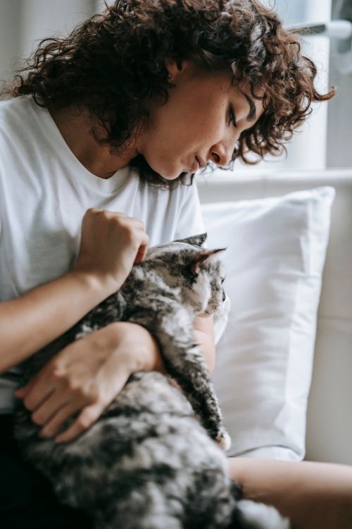 Free Young female in casual outfit sitting on bed near pillow and stroking cute fluffy cat Stock Photo