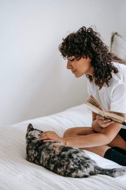 From above of content young female in casual outfit sitting on bed and stroking fluffy cat while reading book