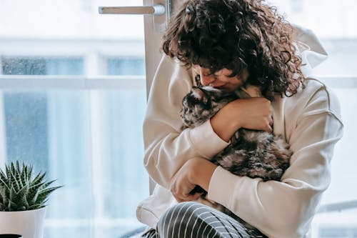 Anonymous female in casual wear and dark hair caressing dappled cat while sitting at window and potted flower in apartment