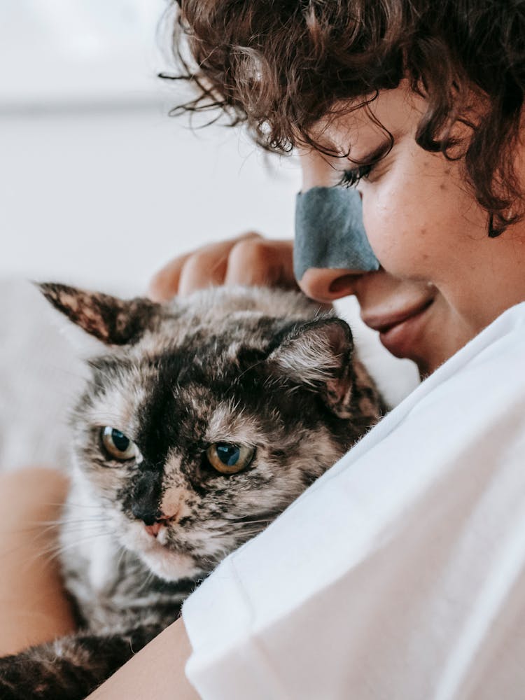 Crop Woman With Facial Mask On Nose Stroking Cat