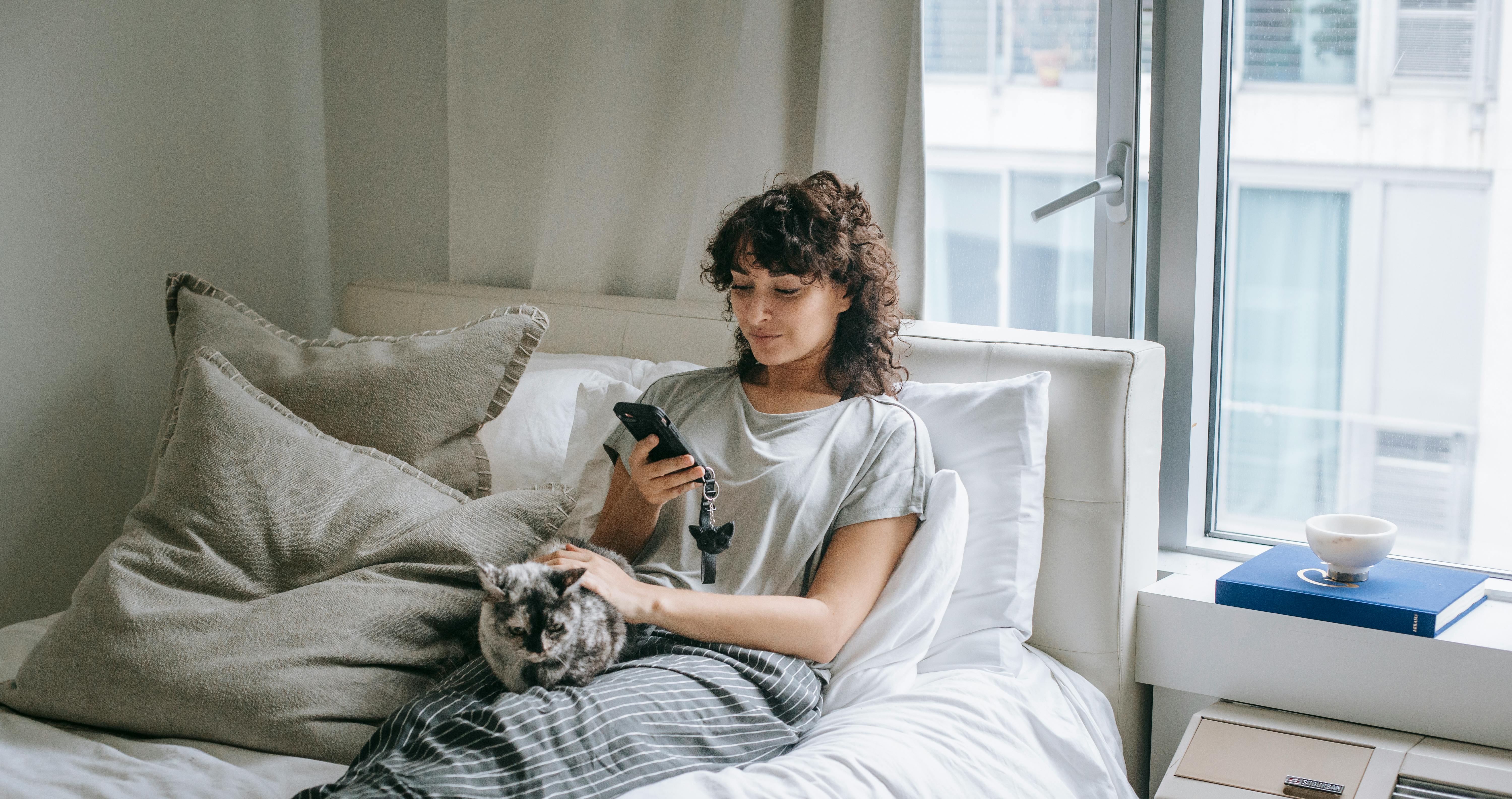 Kočka se vzpírá novému pelechu. Často není problém v pelíšku samotném.