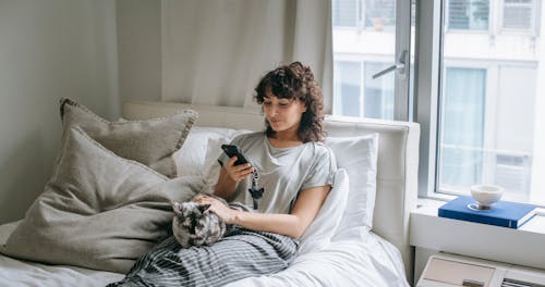 Content female surfing cellphone and petting cat while lying on bed with cushions near window in stylish bedroom during weekend