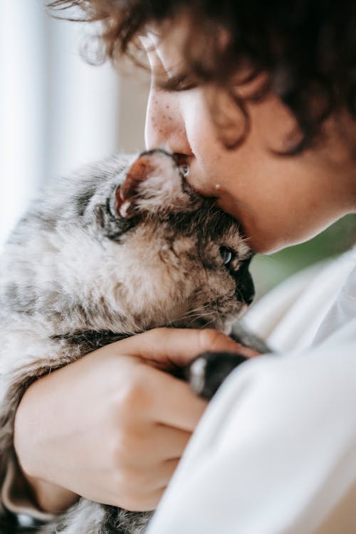grátis Pessoa Segurando Um Gato Branco E Cinza Foto profissional
