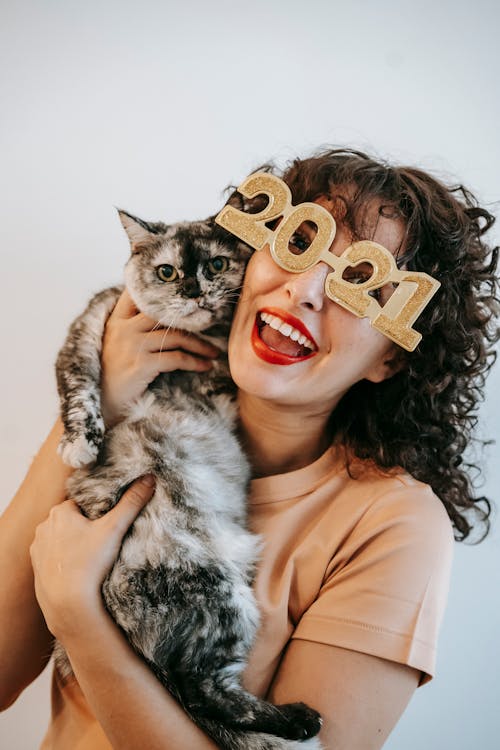 Happy female with dark curly hair in shiny 2021 eyeglasses smiling while hugging adorable spotty cat and looking at camera