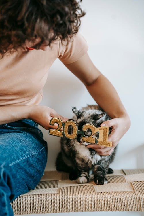 Woman wearing decorative New Year eyeglasses on spotty cat
