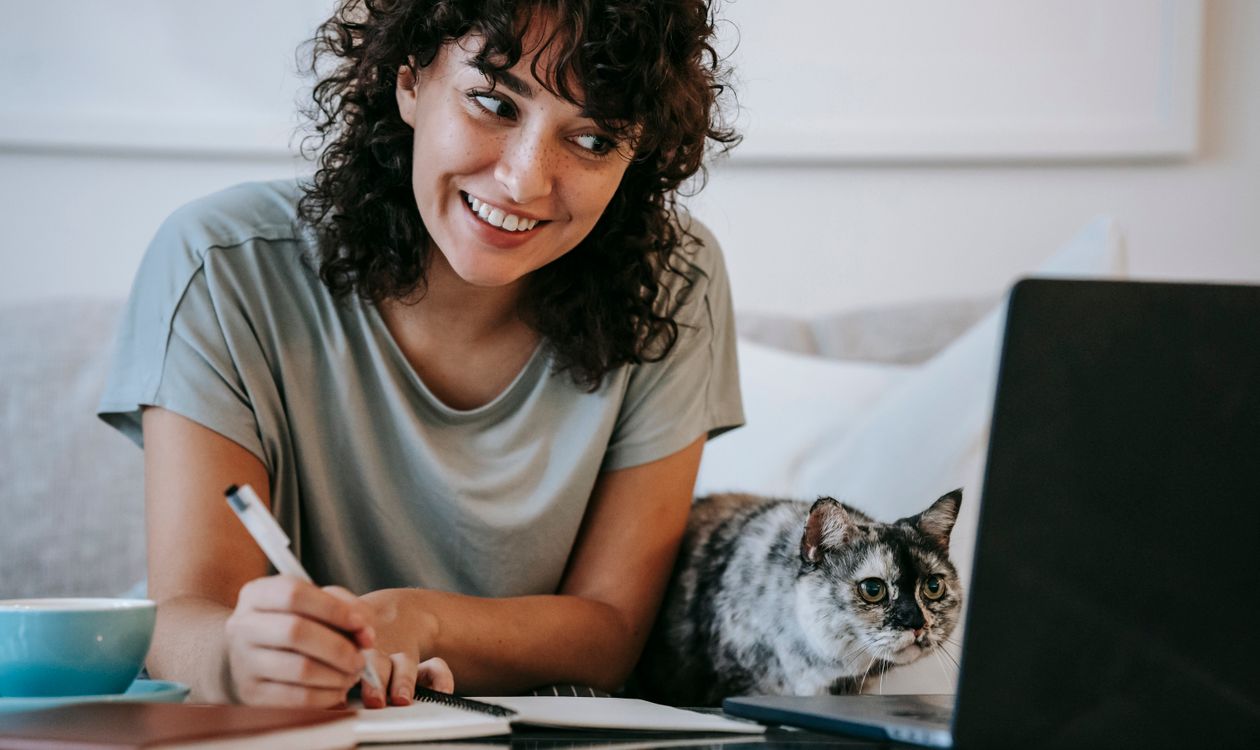 Ontario Cat Insurance Premiums 2026: Why Rates Rise & How to Save