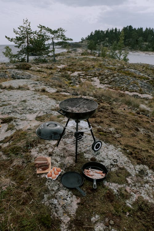 Fotobanka s bezplatnými fotkami na tému breh, cestovať, chlieb