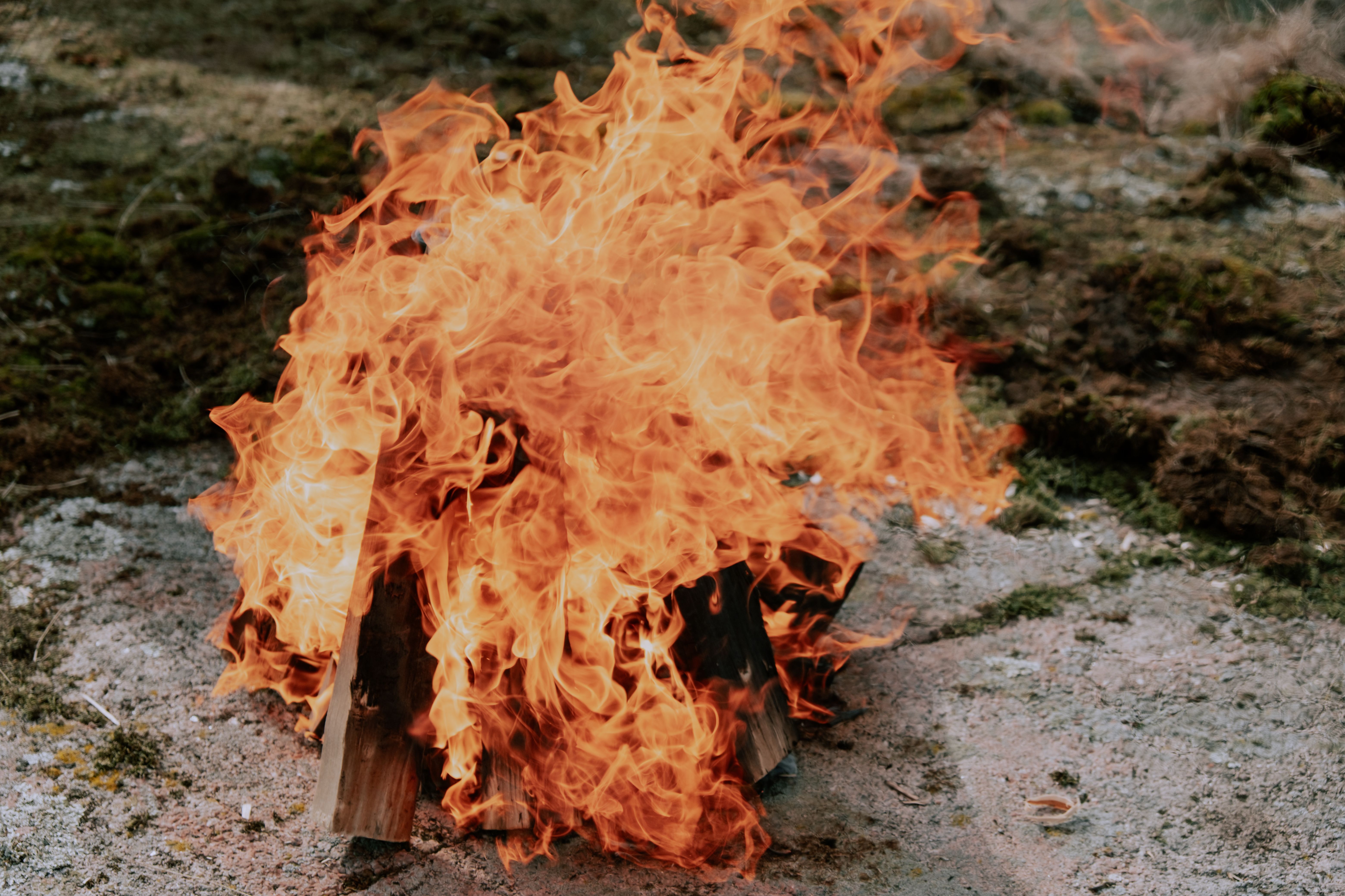 A close-up shot of a campfire with vibrant flames burning outdoors.