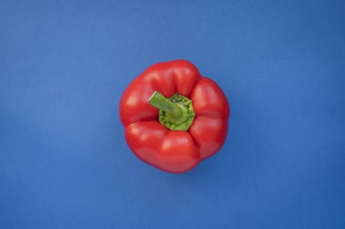 Free Red Pepper on Blue Background Stock Photo