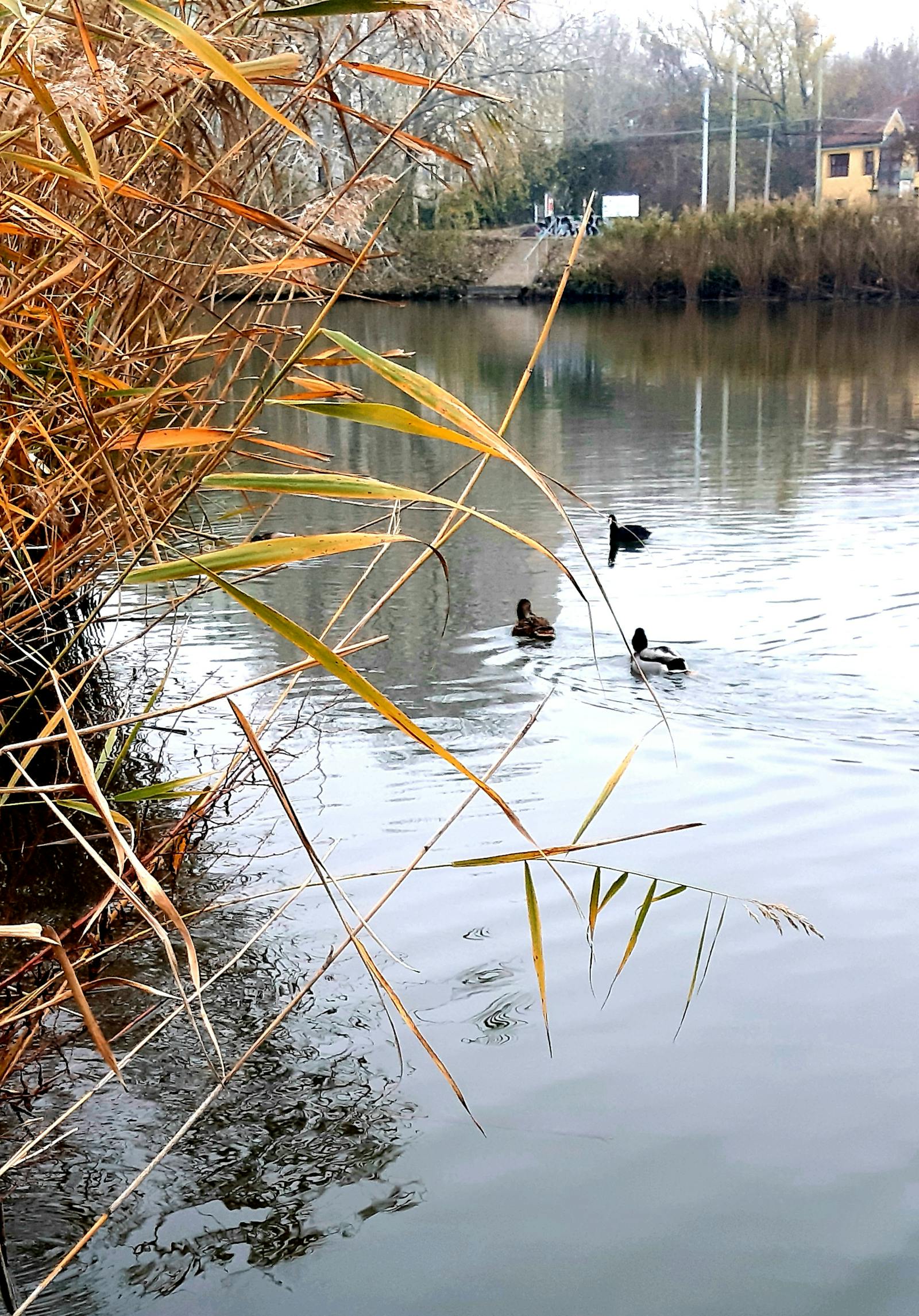 Silivri'de şantiye alanında vinç ile ağır kaldırma.