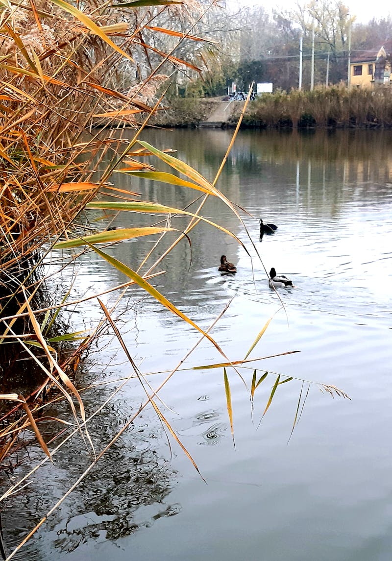 Silivri vinç - şantiye çalışması