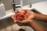 Person Holding Red Strawberries in Plastic Pack