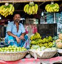 Man in Blue and White Plaid Button Up Shirt Standing Beside Green Banana Fruit