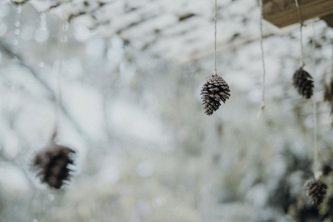 Frosted pinecones in a snowy winter scene for a snowy white wreath variation
