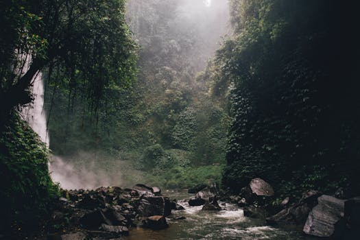 Image by Alesia  Kozik