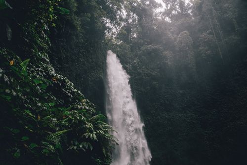 Free Discover the serene beauty of a waterfall cascading through the tropical forests of Bali, Indonesia. Stock Photo