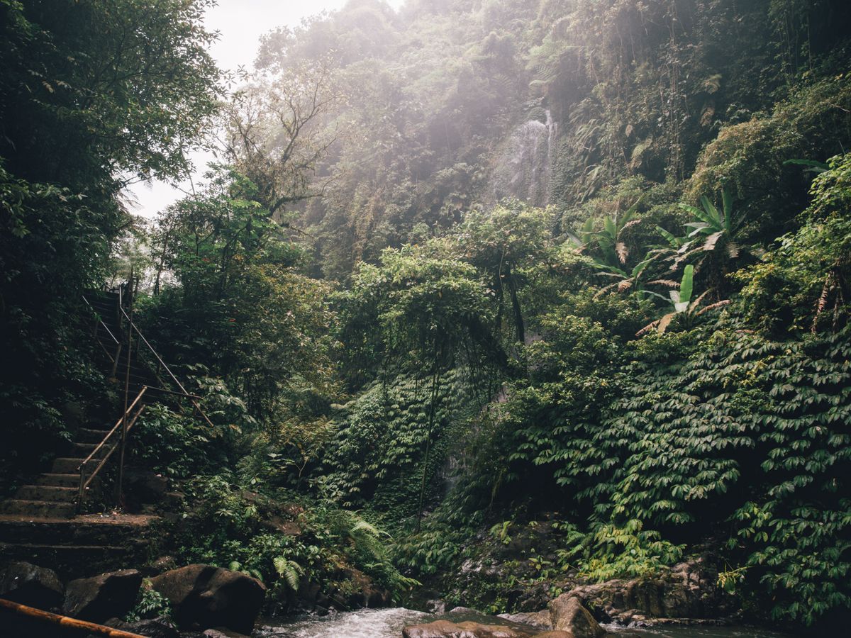 5 Day Silent Zen Meditation & Yin Yoga Retreat in Bali 3