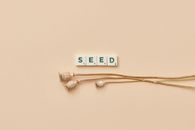 Top view of Scrabble tiles spelling 'SEED' with plant stems on a beige background.
