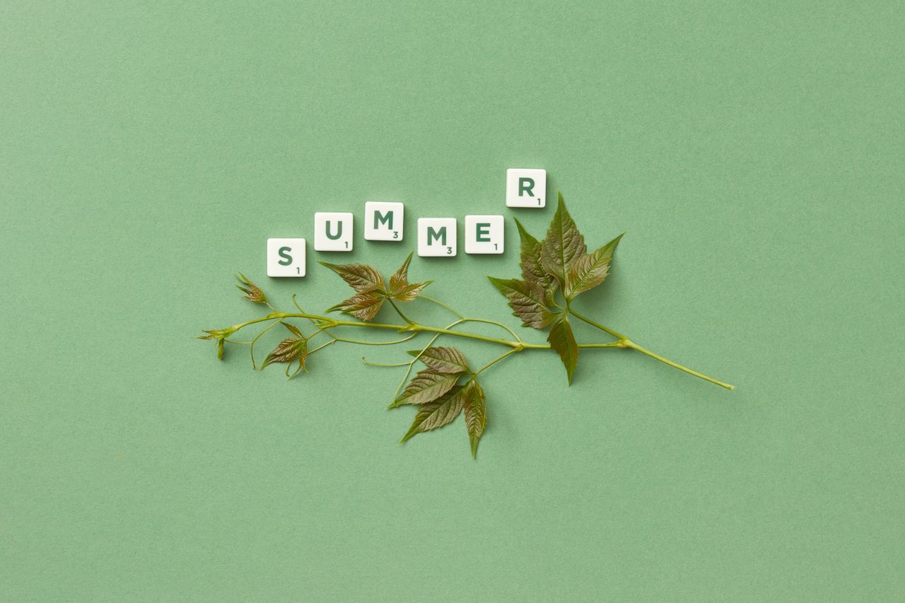creative leafy word art spelling summer on a green background perfect