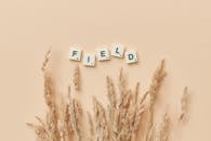 White and Green Lego Blocks on Brown Wheat