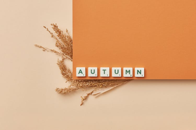 Wheat Under Letters Spelling Autumn