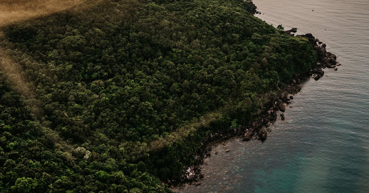 Boat in dream meaning