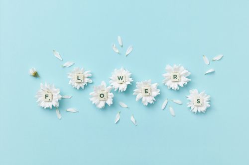 Free Artistic floral arrangement with white petals on a blue background, spelling 'FLOWERS'. Stock Photo