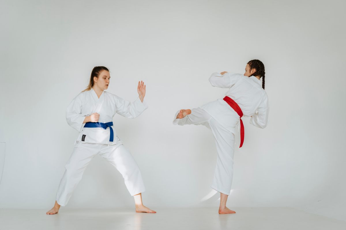 Tehran Karate