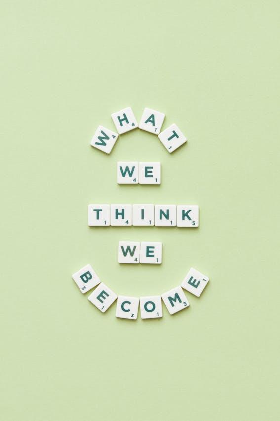 Embracing the Winter Rest: What Houseplants Need During the Cold Months