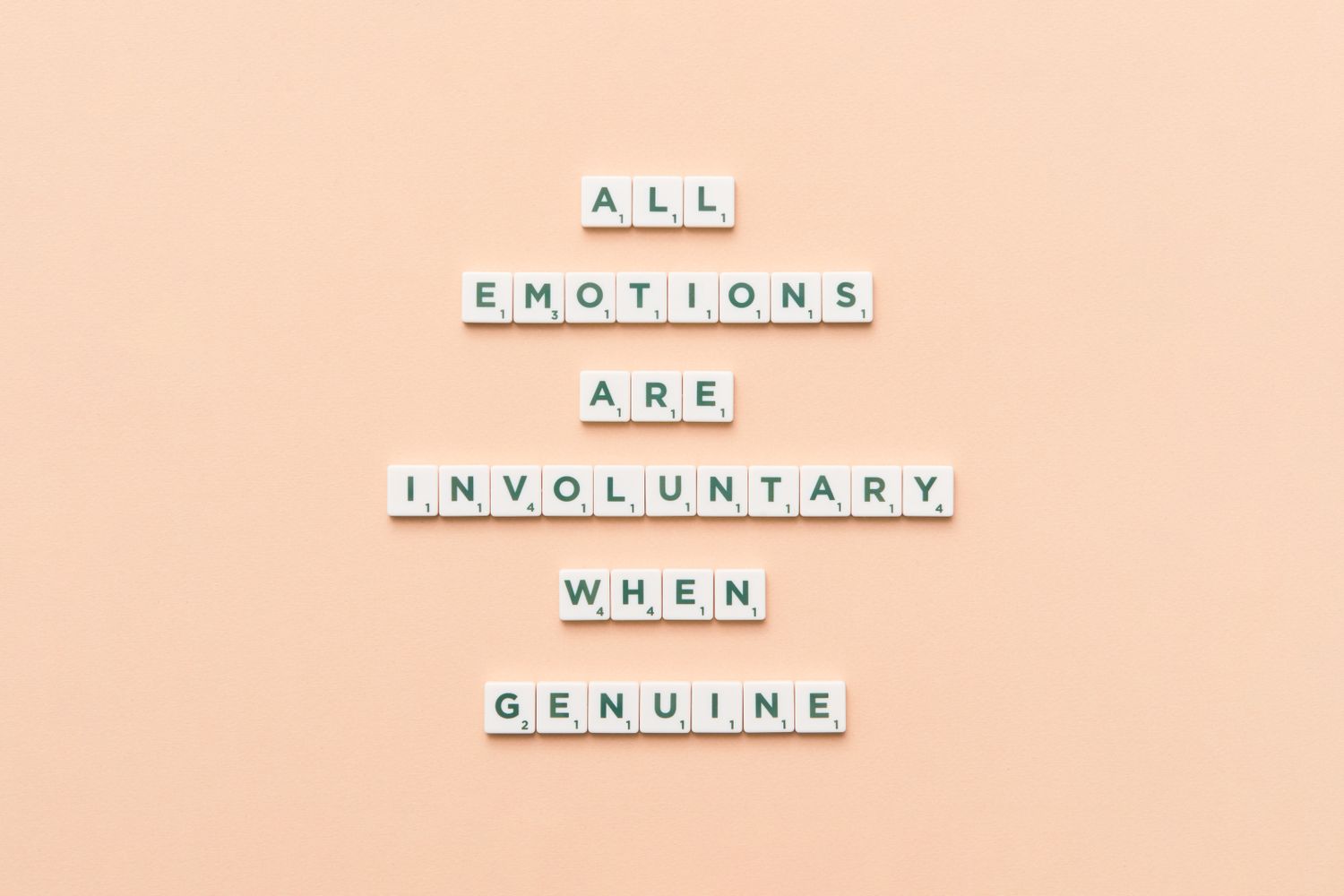 Sentiment Photos, Download The BEST Free Sentiment Stock Photos & HD Images