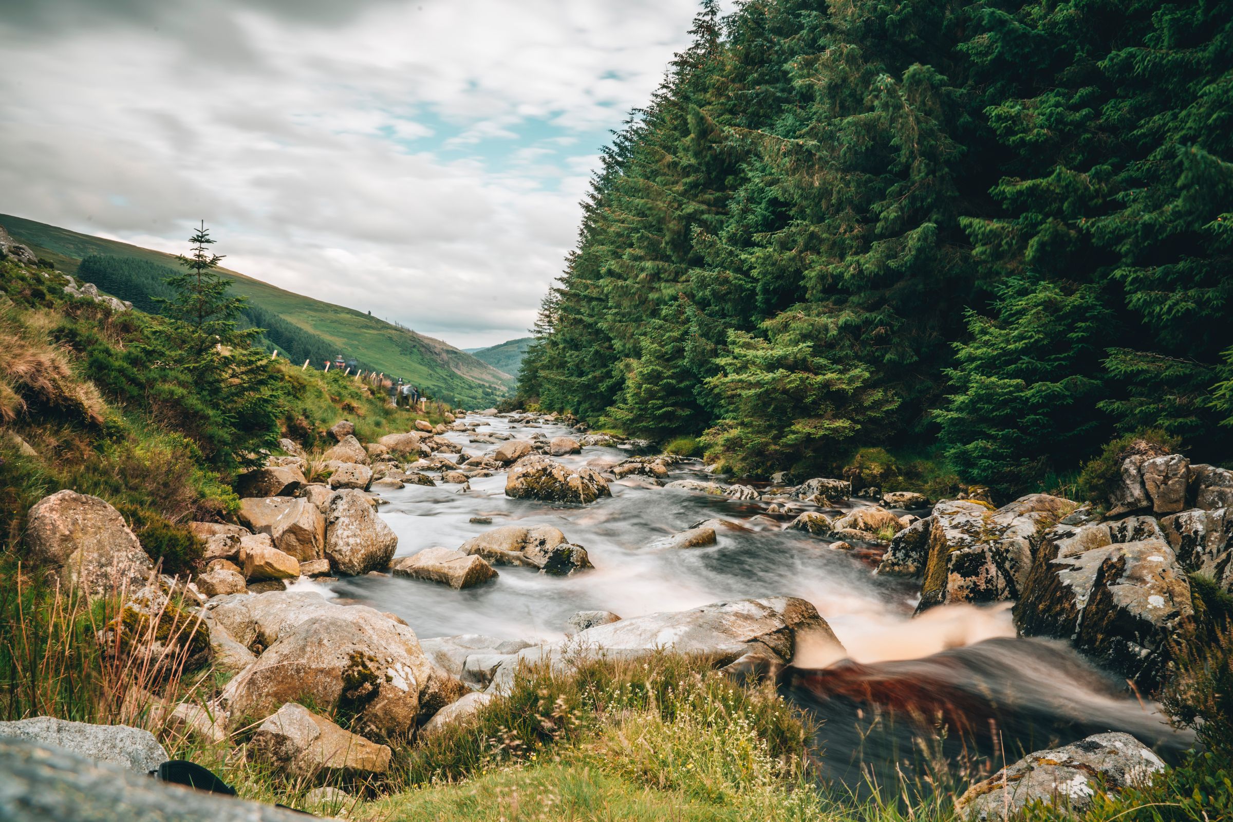 Stream in Wicklow, Ireland, surrounded by green trees and rocks, reflecting nature's beauty
