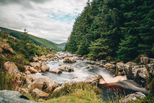 Free Tranquil stream in Wicklow, Ireland, surrounded by lush green trees and rocks, reflecting serene nature's beauty. Stock Photo